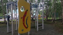 Площадка для воркаута в городе Петропавловск-Камчатский №5387 Маленькая Советская фото