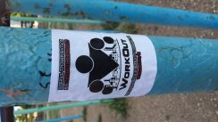 Площадка для воркаута в городе Севастополь №2893 Средняя Советская фото