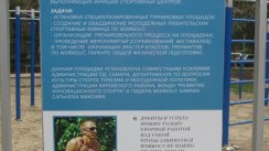Площадка для воркаута в городе Самара №1328 Средняя Современная фото