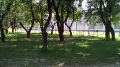 Площадка для воркаута в городе Полтава №894 Большая Советская фото