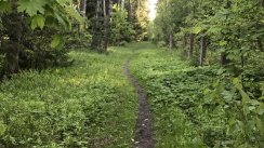 Фотографии Nesvat