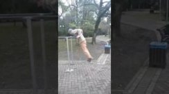 Брестянин вариант