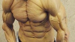 TOP 20 STREET WORKOUT WORLD RECORDS 2017