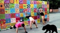 Beginner Calisthenic Workout Routine!