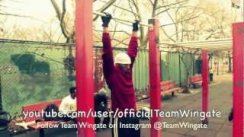 Team Wingate Tutorials: Upper Body Workout (Advanced level 1)