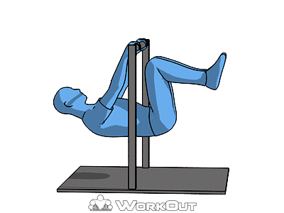 Передний вис