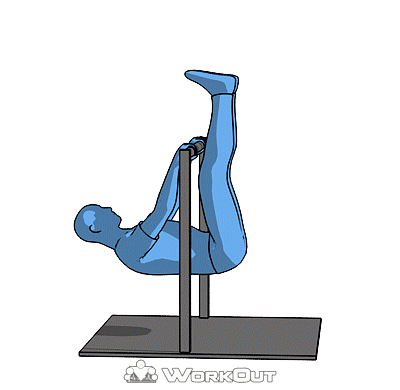 Передний вис