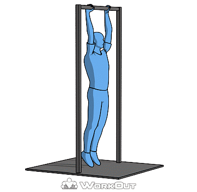 Передний вис