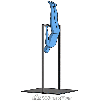 Передний вис