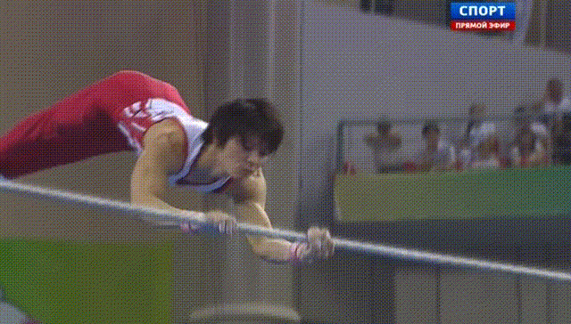 Чемпионат мира по спортивной гимнастике