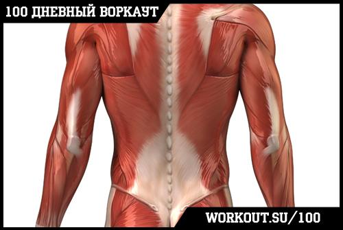 День 68.  Как бегать начинающему?