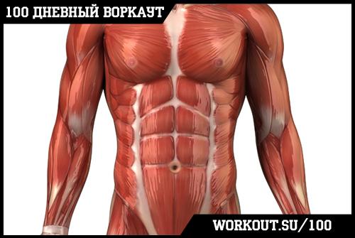 День 68.  Как бегать начинающему?