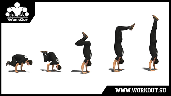 Заруба Бакасана/