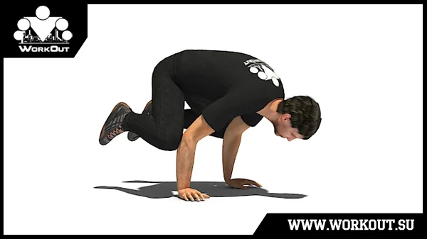 Заруба Бакасана/