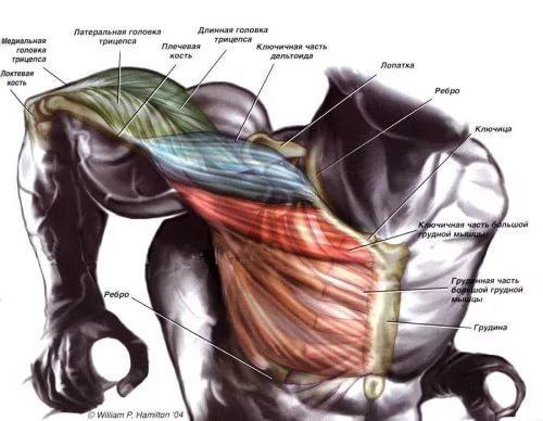 Командное задание. Командное задание.