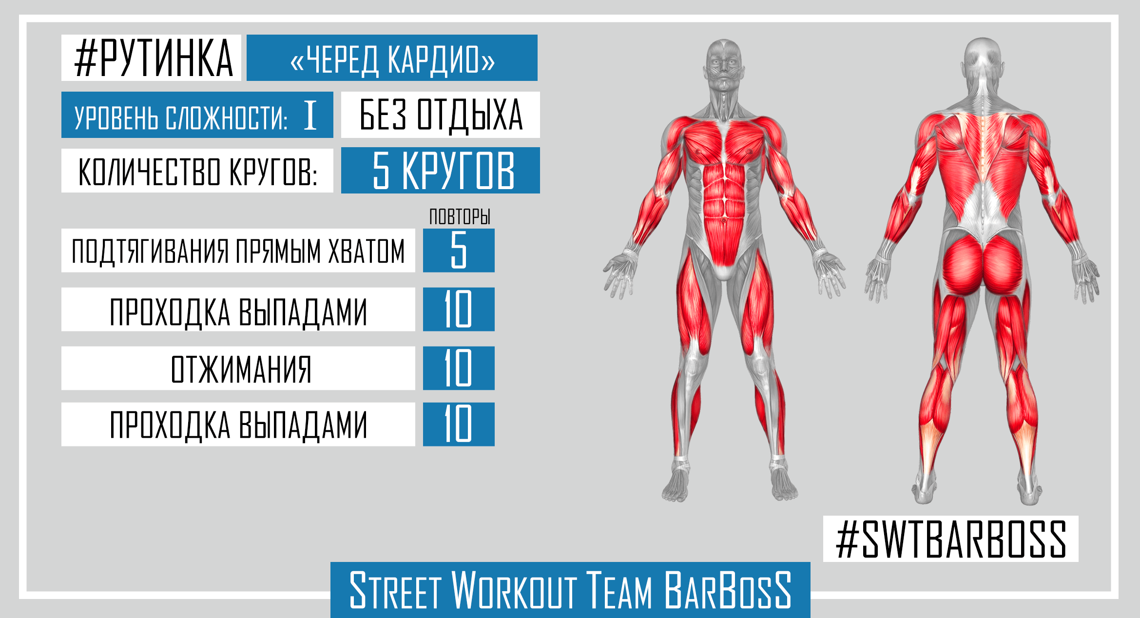 Программы тренировок на турниках и брусьях от SWT BarBosS