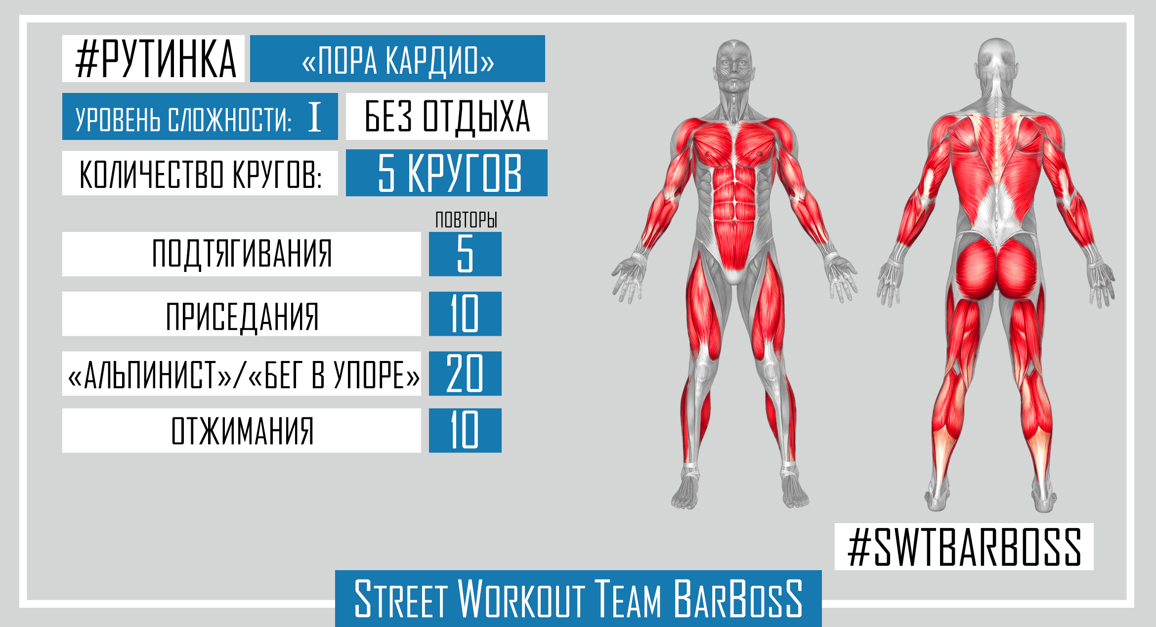 Программы тренировок на турниках и брусьях от SWT BarBosS