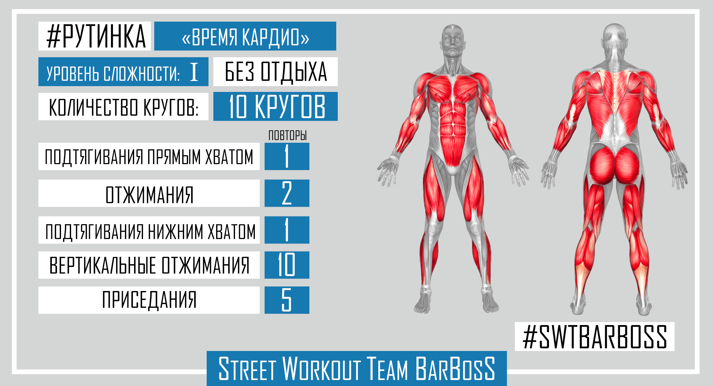 Программы тренировок на турниках и брусьях от SWT BarBosS