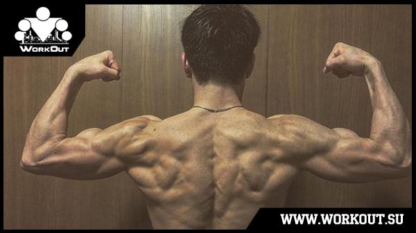 Программы тренировок на турниках от японского монстра Mitaila! Программы тренировок на турниках от японского монстра Mitaila!