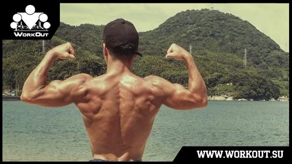 Программы тренировок на турниках от японского монстра Mitaila! Программы тренировок на турниках от японского монстра Mitaila!