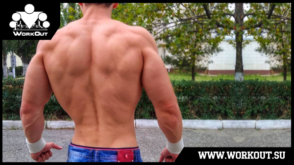 как накачать спину на турниках как накачать спину на турниках