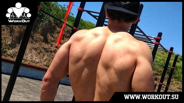 программа тренировки на турниках для мужчин программа тренировки на турниках для мужчин