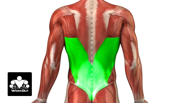 Правильная Позиция Ног При Подтягиваниях Правильная Позиция Ног При Подтягиваниях