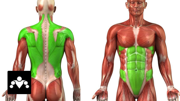 Школа Стрит Воркаута: Полное Руководство по Переднему Вису Школа Стрит Воркаута: Полное Руководство по Переднему Вису